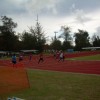 GP 200m. hits the straight.