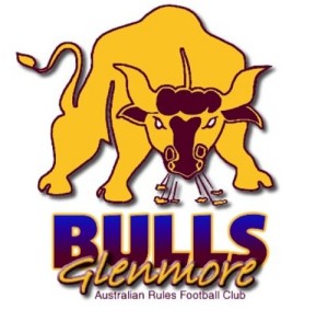 Bulls old logo