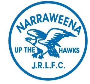 circle hawk emblem