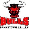 Bulls 170