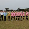 Stingrays go pink for a good cause