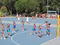 Netball Tournament