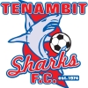 Tenambit Sharks FC