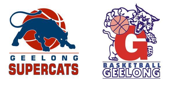 Geelong Supercats and Basketball Geelong appoint CEO  Geelong