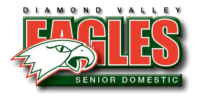 Senior Domestic