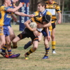 U15's