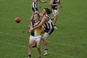 The Flying Mullet