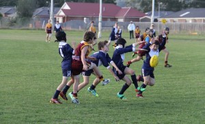 Warragul Blues Junior Football Club's Home Page