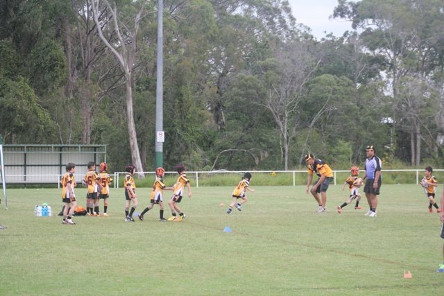 Welcome to The Home of The Rochedale Tigers - Rochedale Tigers RLFC Inc