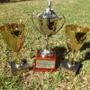 Cronk Hill Stumer Trophies