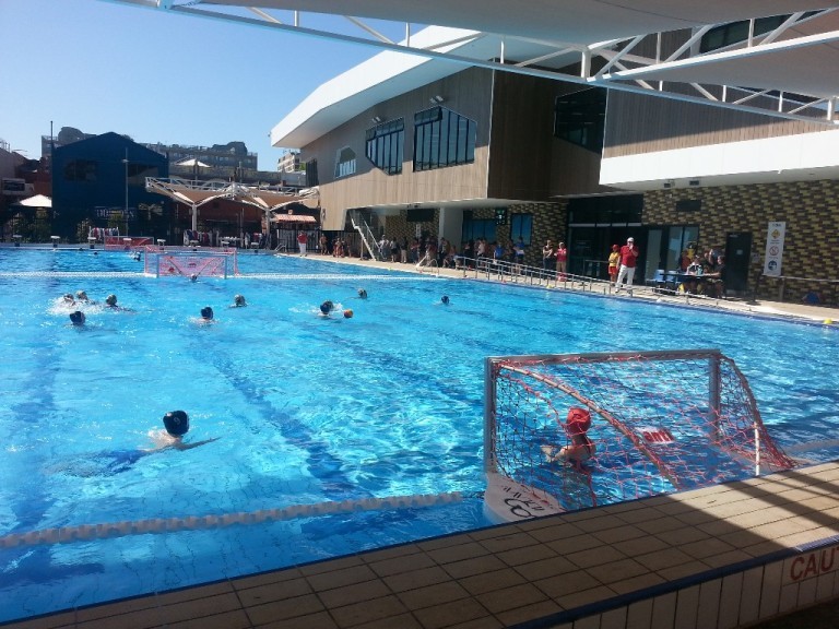 Hawthorn Aquatic