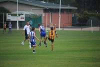 Tom Rosser