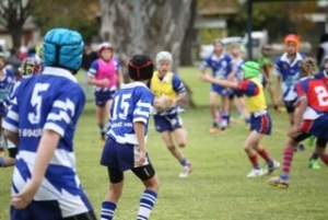 Weekly Write Ups Cootamundra Junior Rugby League Sportstg