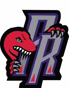 Our new Raptors logo