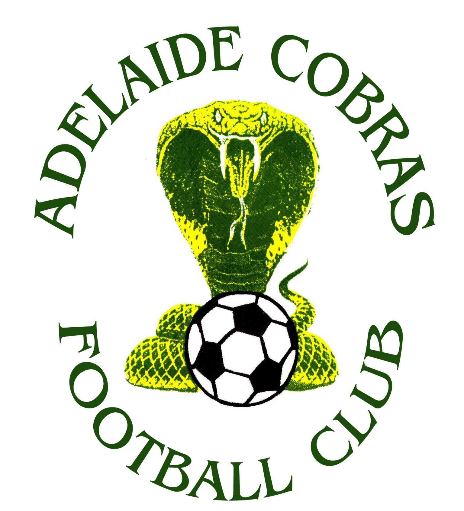 Resultado de imagem para Adelaide Cobras Football Club