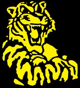 Tiger yellow and black