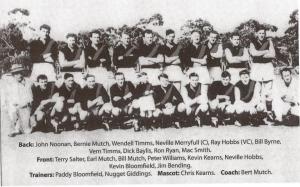 1959 Balmoral Premiership Team