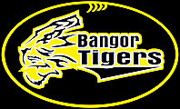 Tigers Site Logo