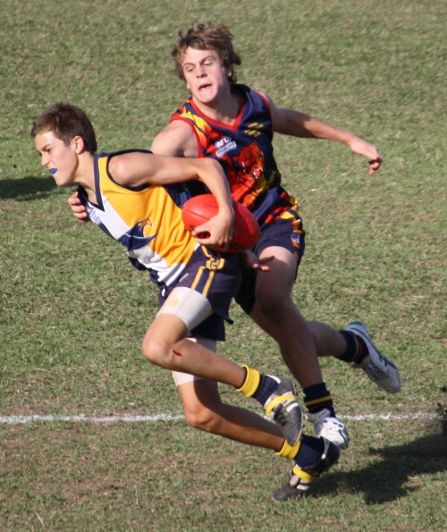 Preliminary Ponderings - AFL Sunshine Coast Juniors - GameDay