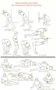 Football Stretching - Albany United - SportsTG