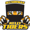 2013 Logo