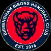 Birmingham Handball Club